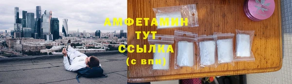 молекула духа Богородицк