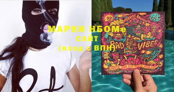 молекула духа Богородицк