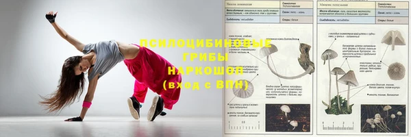 молекула духа Богородицк