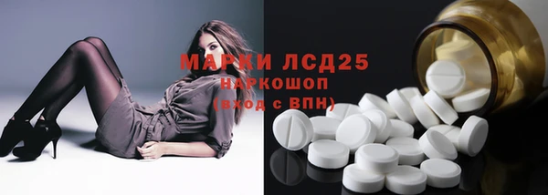 молекула духа Богородицк
