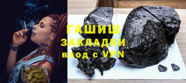 молекула духа Богородицк